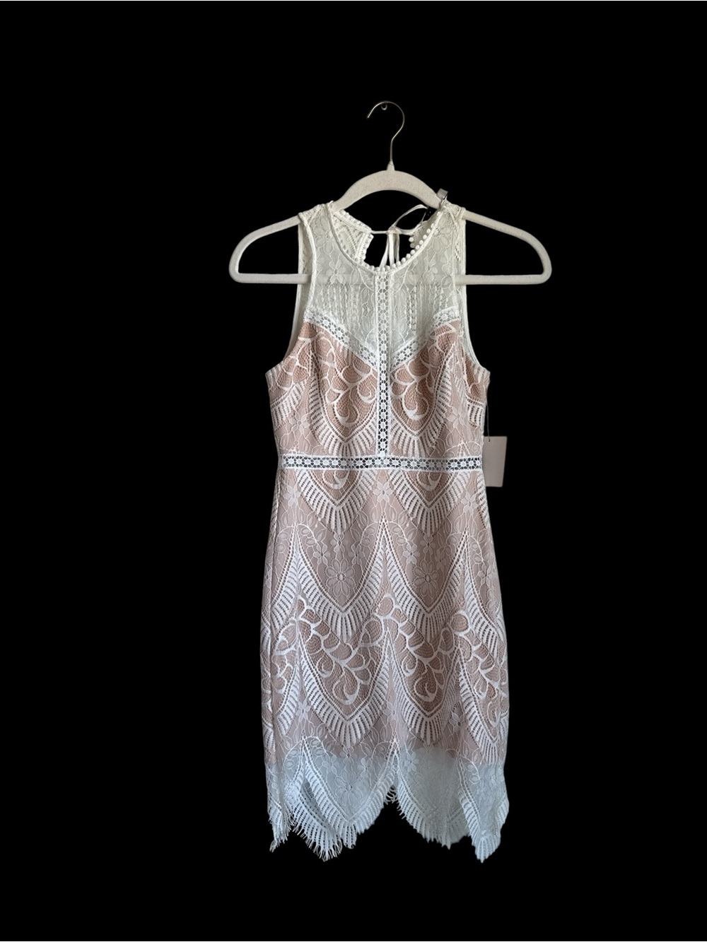 LUSH Lace Sleeveless Mini Dress